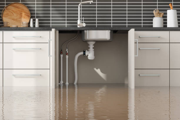 Professional Water damage restoration in Adrian, MO